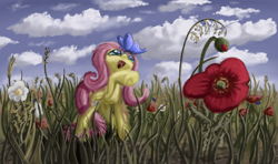 Size: 3840x2271 | Tagged: safe, artist:battyboopers, artist:staremastershy, fluttershy, butterfly, pegasus, pony, g4, female, flower, high res, meadow, solo