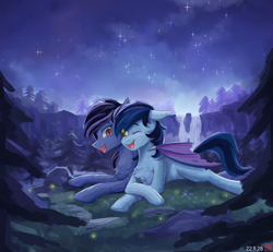 Size: 2700x2500 | Tagged: safe, artist:月下枫林, oc, oc only, oc:wwhbrony, oc:梓虚无忧, bat pony, earth pony, pony, grass, high res, lying down, male, night, open mouth, shipping