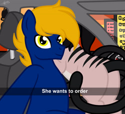 Size: 3295x3000 | Tagged: safe, artist:princessmoonsilver, oc, oc:moira, oc:perfect drop, earth pony, pony, butt, car, car interior, commission, he wants to order, high res, hybrid oc, meme, order, plot, selfie, solo, ych result