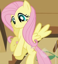 Size: 645x709 | Tagged: safe, edit, edited screencap, screencap, fluttershy, pegasus, pony, fanfic:fluttershy gets a papercut, a bird in the hoof, g4, season 1, blood, cropped, female, fluttershy's cottage (interior), flying, hub logo, logo, mare, papercut, spread wings, the hub, wings