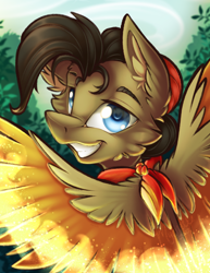 Size: 2550x3300 | Tagged: safe, artist:mychelle, oc, oc:khaobrush graiden, pegasus, pony, high res, male, solo, stallion