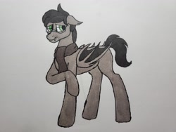 Size: 4032x3024 | Tagged: safe, artist:rustlerustle, oc, oc only, oc:cornerstone, bat pony, clothes, glasses, male, photo, scarf, solo, traditional art