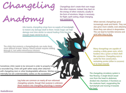 Size: 1416x1047 | Tagged: safe, changeling, anatomy, chart, diagram, information, simple background, solo, transparent background