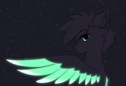 Size: 2560x1760 | Tagged: safe, artist:verlista, oc, oc only, pegasus, pony, bust, glowing, glowing wings, pegasus oc, portrait, wings