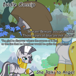 Size: 1920x1920 | Tagged: safe, edit, edited screencap, editor:itsmgh1203, screencap, doctor fauna, zecora, earth pony, pony, zebra, bridle gossip, g4, season 1, season 9, she talks to angel, duo, duo female, female, mare, open mouth, open smile, smiling, text