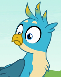 Size: 563x716 | Tagged: safe, screencap, gallus, griffon, g4, non-compete clause, cropped, male, reaction image, solo