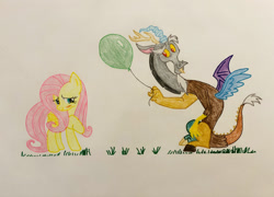 Size: 1280x924 | Tagged: safe, artist:blackwo96777748, discord, fluttershy, draconequus, pegasus, pony, g4, balloon, blushing, cute, duo, duo male and female, female, grass, looking away, male, mare, present, ship:discoshy, shipping, smiling, straight, traditional art