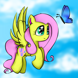 Size: 2000x2000 | Tagged: safe, artist:meotashie, fluttershy, butterfly, pegasus, pony, g4, female, high res, solo