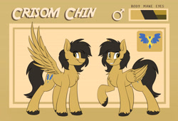 Size: 4700x3200 | Tagged: safe, artist:kaylerustone, oc, oc only, oc:crisom chin, pegasus, pony, cutie mark, looking at you, male, pose, reference sheet, spread hooves, spread wings, stallion, unshorn fetlocks, wings