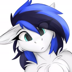 Size: 1925x1925 | Tagged: safe, artist:observerdoz, oc, oc only, oc:black ice, pegasus, pony, bust, chest fluff, ear fluff, female, floppy ears, portrait, simple background, solo, white background