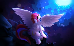 Size: 1920x1200 | Tagged: safe, artist:silver fox, oc, oc only, pegasus, pony, blushing, commission, eye clipping through hair, looking at you, looking back, looking back at you, pegasus oc, sitting, solo, spread wings, underhoof, unshorn fetlocks, wings