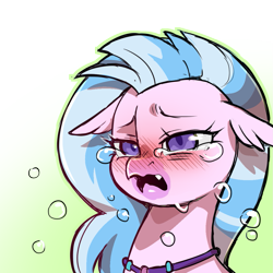 Size: 1159x1159 | Tagged: safe, alternate version, artist:cold-blooded-twilight, silverstream, hippogriff, g4, blushing, crying, simple background, solo, transparent background