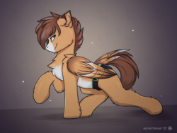 Size: 3200x2400 | Tagged: safe, artist:snowstormbat, oc, oc only, oc:barnstorme, pegasus, pony, clothes, high res, male, smiling, solo, speedo, stallion, swimsuit, wings