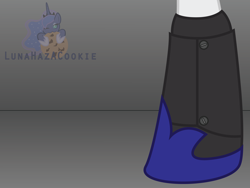 Size: 4000x3000 | Tagged: safe, alternate version, artist:lunahazacookie, pony, female, hoof shoes, mare