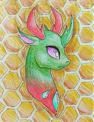 Size: 804x1035 | Tagged: safe, artist:mintytreble, pharynx, changedling, changeling, g4, honeycomb (structure), prince pharynx, solo, traditional art