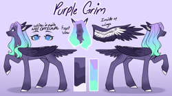 Size: 1024x575 | Tagged: safe, artist:purplegrim40, oc, oc only, pegasus, pony, duo, female, mare, pegasus oc, raised hoof, reference sheet, wings
