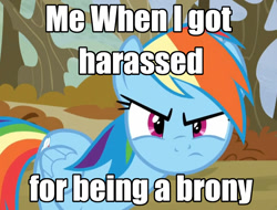 Size: 986x748 | Tagged: safe, edit, edited screencap, screencap, rainbow dash, pegasus, pony, g4, tanks for the memories, brony, caption, image macro, looking at you, meme, photo, solo, text