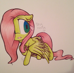 Size: 634x626 | Tagged: safe, artist:meotashie, fluttershy, pegasus, pony, g4, female, solo, traditional art