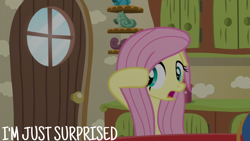 Size: 1920x1080 | Tagged: safe, edit, edited screencap, editor:quoterific, screencap, fluttershy, pegasus, pony, flutter brutter, g4, season 6, female, mare, solo