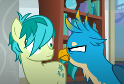 Size: 1040x701 | Tagged: safe, screencap, gallus, sandbar, earth pony, griffon, pony, g4, school daze, season 8, angry, cropped, duo, hair over one eye, looking at each other, looking at someone, male