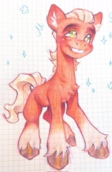 Size: 1336x2048 | Tagged: safe, artist:p0nyplanet, sprout cloverleaf, earth pony, pony, g5, graph paper, male, solo, stallion, traditional art