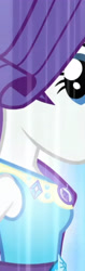 Size: 1286x4093 | Tagged: safe, screencap, rarity, human, equestria girls, equestria girls specials, g4, my little pony equestria girls: better together, my little pony equestria girls: forgotten friendship, cropped, female, geode of shielding, high res, magical geodes, rarity peplum dress, solo, transformation