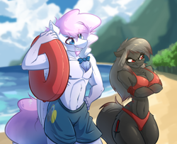 Size: 3764x3056 | Tagged: safe, artist:witchtaunter, oc, oc only, oc:blood stain, oc:heavy weather, earth pony, pegasus, anthro, angry, anthro oc, arm under breasts, beach, belly button, big breasts, bikini, bow, breasts, chest fluff, cleavage, clothes, cloud, collarbone, commission, crossed arms, curvy, cutie mark on clothes, duo, duo male and female, eye clipping through hair, facial hair, female, floaty, floppy ears, folded wings, furrowed brow, goatee, grumpy, hair bow, hand on hip, height difference, high res, inflatable, inner tube, male, mountain, ocean, pool toy, rule 63, smiling, swimming trunks, swimsuit, tsundere, wasp waist, water, wide hips, wings