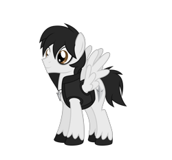 Size: 7500x7000 | Tagged: safe, artist:lunahazacookie, oc, oc only, oc:nightwish, pegasus, pony, male, pegasus oc, simple background, solo, stallion, transparent background, unshorn fetlocks, wings