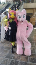 Size: 1144x2048 | Tagged: safe, artist:bramble bunny, fluttershy, oc, oc:fluffle puff, bat pony, anthro, bronycon, bronycon 2018, g4, bat ponified, clothes, cosplay, costume, duo, fishnet stockings, flutterbat, fursuit, irl, photo, race swap