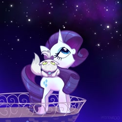 Size: 2048x2048 | Tagged: safe, artist:pfeffaroo, opalescence, rarity, cat, pony, unicorn, g4, balcony, duo, high res, night, stars