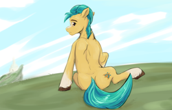 Size: 1364x879 | Tagged: safe, artist:testostepone, hitch trailblazer, earth pony, pony, g5, blaze (coat marking), coat markings, facial markings, grass, hitchbutt, looking at you, male, simple background, sky, socks (coat markings), solo, stallion, unshorn fetlocks