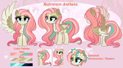 Size: 3908x2165 | Tagged: safe, artist:2pandita, oc, oc only, oc:antheia, pegasus, pony, colored wings, female, high res, mare, reference sheet, solo, two toned wings, wings