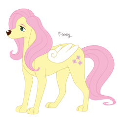 Size: 894x894 | Tagged: safe, artist:beinting, fluttershy, dog, g4, cute, dogified, female, flutterdog, shyabetes, signature, simple background, solo, species swap, transparent background, winged dog, wings