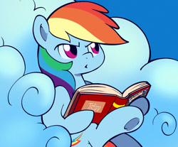 Size: 1250x1035 | Tagged: safe, artist:talimingi, rainbow dash, pegasus, pony, g4, annoyed, book, cloud, daring do book, down beat bear, female, mare, meme, on a cloud, ponified meme, reaction image, reading, sitting, sitting on a cloud, sky, solo, tom and jerry, tom reading the newspaper