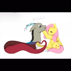 Size: 2048x2048 | Tagged: safe, artist:inoghmia, discord, fluttershy, draconequus, pegasus, pony, g4, behaving like a cat, chin scratch, cute, discute, female, high res, male, purring, ship:discoshy, shipping, simple background, straight, white background