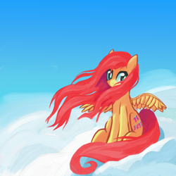 Size: 2000x2000 | Tagged: safe, artist:solid shrimp, fluttershy, pegasus, pony, g4, cloud, high res, sky