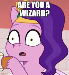 Size: 500x544 | Tagged: safe, edit, edited screencap, screencap, pipp petals, pegasus, pony, g5, my little pony: tell your tale, pony partay, spoiler:g5, spoiler:my little pony: tell your tale, spoiler:tyts01e25, are you a wizard, caption, cropped, female, image macro, mare, meme, open mouth, pinpoint eyes, solo, text