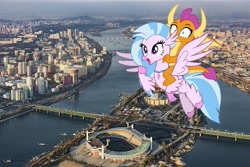 Size: 749x500 | Tagged: safe, artist:frownfactory, edit, silverstream, smolder, dragon, hippogriff, pony, g4, dragoness, dragons riding hippogriffs, female, flying, horns, irl, jewelry, necklace, north korea, open mouth, photo, ponies in real life, pyongyang, riding, smolder riding silverstream, wings