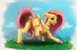 Size: 3596x2360 | Tagged: safe, artist:miokomata, fluttershy, pegasus, pony, g4, butt, colored hooves, dock, featureless crotch, female, floppy ears, freckles, grass, high res, looking at you, looking back, looking back at you, open mouth, open smile, plot, raised hoof, rear view, smiling, solo, tail, tail aside, underhoof