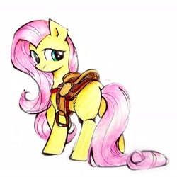 Size: 2662x2662 | Tagged: safe, artist:liaaqila, fluttershy, pegasus, pony, g4, butt, commission, cute, female, flutterbutt, high res, looking back, mare, missing cutie mark, plot, saddle, shyabetes, simple background, solo, stirrups, tack, traditional art, white background