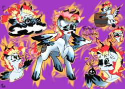 Size: 4961x3508 | Tagged: safe, artist:mekblue, oc, oc:smokey surprise, pegasus, pony, barrel, bomb, cloud, cute, dirty, dynamite, explosives, fire, gun powder, multiple poses, pegasus oc, reference sheet, solo, spread wings, tail, tail wag, weapon, wings