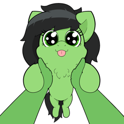 Size: 2000x2000 | Tagged: safe, artist:kumakum, oc, oc only, oc:anon, oc:filly anon, earth pony, human, pony, cute, female, filly, high res, holding a pony, simple background, tongue out, transparent background, upsies, wholesome