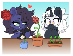 Size: 1424x1102 | Tagged: safe, artist:slimewiz, oc, oc only, oc:kennel nightshade, oc:s.leech, pegasus, pony, unicorn, flower, flower in hair, gradient background, heart, horn, oc x oc, pegasus oc, plant, shipping, unicorn oc