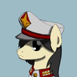 Size: 798x798 | Tagged: safe, artist:efpony, oc, oc only, oc:efpony, earth pony, pony, clothes, earth pony oc, hat, simple background, solo
