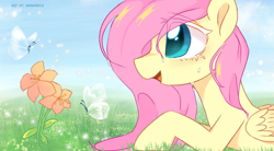 Size: 1250x691 | Tagged: safe, artist:memengla, fluttershy, butterfly, pegasus, pony, g4, colored eyelashes, colored pupils, crying, cute, female, flower, grass, grass field, looking at something, lying down, mare, prone, shyabetes, sky, solo, transparent wings, wings