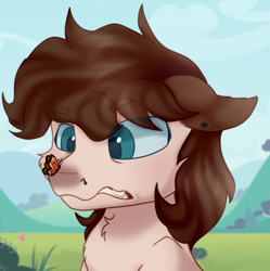 Size: 1024x1030 | Tagged: safe, artist:thatonefluffs, oc, oc:misanthropic misery, butterfly, earth pony, pony, blushing, butterfly on nose, cloud, earth pony oc, grass, grass field, insect on nose, piercing, ponysona, sky, solo