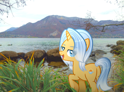 Size: 2212x1656 | Tagged: safe, artist:moocca, derpibooru exclusive, oc, oc only, oc:aurore soleilevant, pony, unicorn, butt, female, horn, irl, lake, looking at you, mare, mountain, orange coat, photo, plot, ponies in real life, smiling, solo, unicorn oc, water
