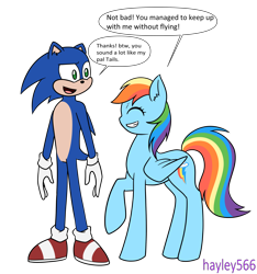 Size: 2434x2600 | Tagged: safe, artist:hayley566, rainbow dash, hedgehog, pegasus, pony, anthro, g4, anthro with ponies, ashleigh ball, colored belly, duo, folded wings, high res, long legs, male, pale belly, raised hoof, simple background, slender, sonic prime, sonic the hedgehog, sonic the hedgehog (series), speech bubble, thin, transparent background, voice actor joke, wings