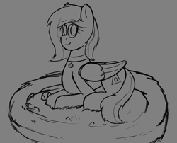 Size: 2534x2051 | Tagged: safe, artist:somber, oc, oc only, pegasus, pony, grayscale, high res, monochrome, nest, pegasus oc