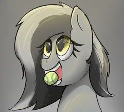 Size: 1500x1350 | Tagged: safe, artist:somber, oc, oc only, oc:graeyscale, pegasus, pony, ball, bust, eye clipping through hair, eyelashes, gray background, looking up, mouth hold, open mouth, pegasus oc, portrait, simple background, solo, tennis ball